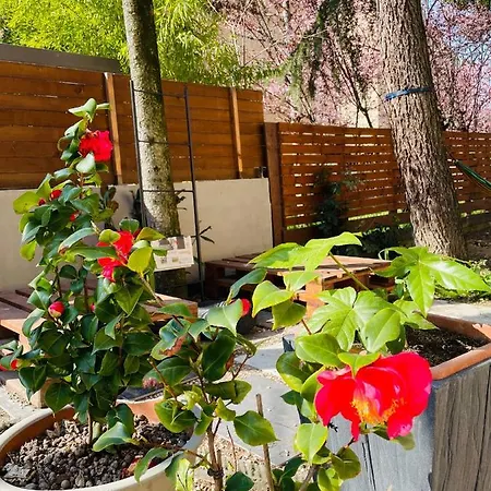 דירה A Casa Di Flo'